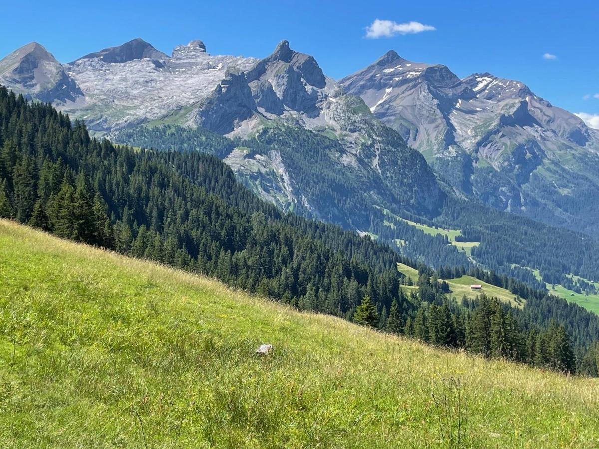 Alpen Charme - Chalet D'Hotes Et Spa 그체이 외부 사진